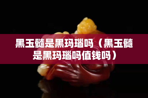 黑玉髓是黑瑪瑙嗎（黑玉髓是黑瑪瑙嗎值錢嗎）