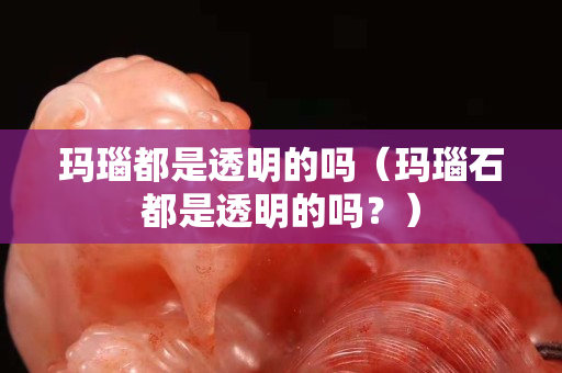 瑪瑙都是透明的嗎（瑪瑙石都是透明的嗎？）