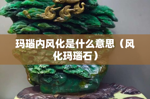 瑪瑙內(nèi)風(fēng)化是什么意思（風(fēng)化瑪瑙石）