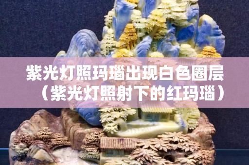 紫光燈照瑪瑙出現白色圈層（紫光燈照射下的紅瑪瑙）
