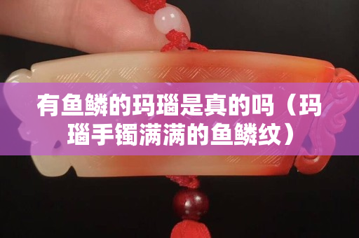 有魚鱗的瑪瑙是真的嗎（瑪瑙手鐲滿滿的魚鱗紋）
