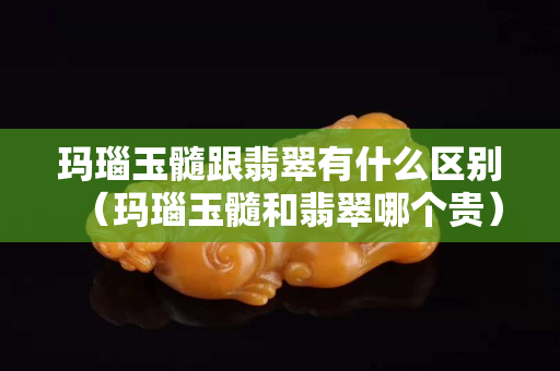 瑪瑙玉髓跟翡翠有什么區別（瑪瑙玉髓和翡翠哪個貴）