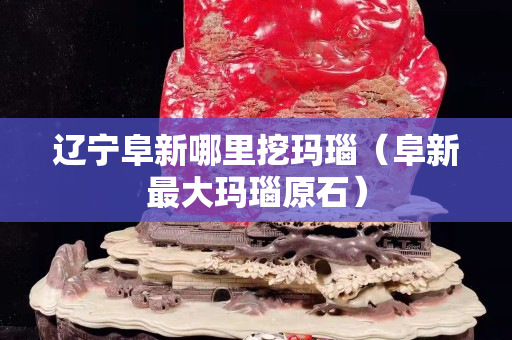 遼寧阜新哪里挖瑪瑙（阜新最大瑪瑙原石）