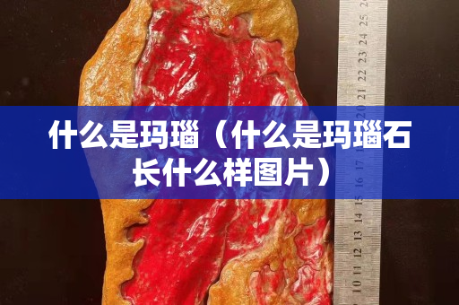 什么是瑪瑙（什么是瑪瑙石長什么樣圖片）