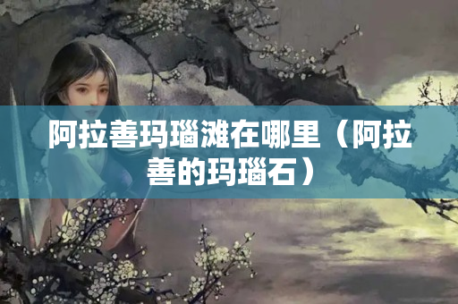 阿拉善瑪瑙灘在哪里（阿拉善的瑪瑙石）