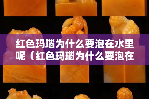 紅色瑪瑙為什么要泡在水里呢（紅色瑪瑙為什么要泡在水里呢視頻）