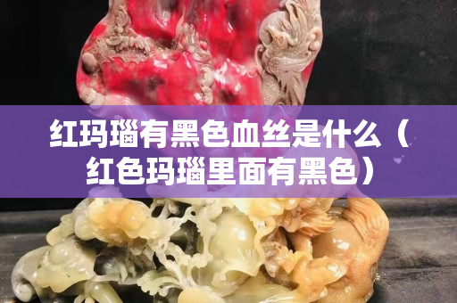 紅瑪瑙有黑色血絲是什么（紅色瑪瑙里面有黑色）
