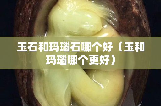 玉石和瑪瑙石哪個好（玉和瑪瑙哪個更好）