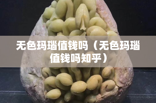 無色瑪瑙值錢嗎（無色瑪瑙值錢嗎知乎）