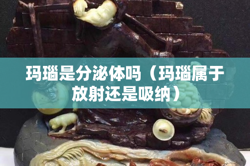 瑪瑙是分泌體嗎（瑪瑙屬于放射還是吸納）