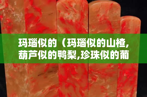 瑪瑙似的（瑪瑙似的山楂,葫蘆似的鴨梨,珍珠似的葡萄）