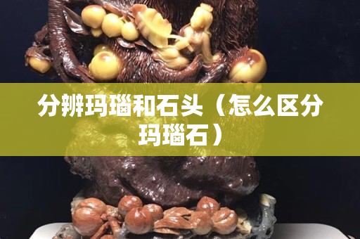 分辨瑪瑙和石頭（怎么區(qū)分瑪瑙石）