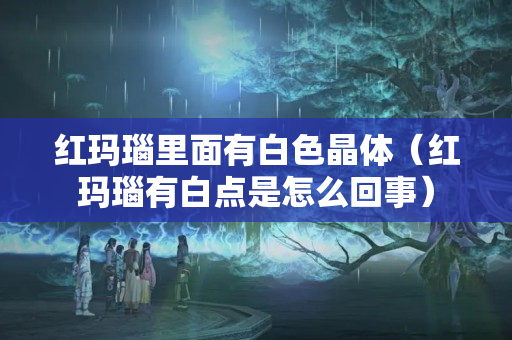 紅瑪瑙里面有白色晶體（紅瑪瑙有白點是怎么回事）
