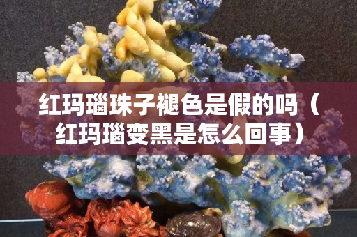 紅瑪瑙珠子褪色是假的嗎（紅瑪瑙變黑是怎么回事）