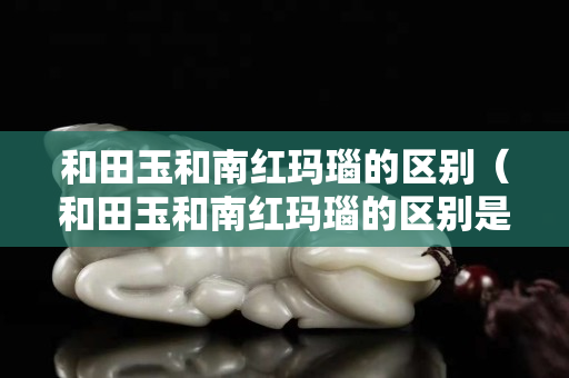 和田玉和南紅瑪瑙的區別（和田玉和南紅瑪瑙的區別是什么）