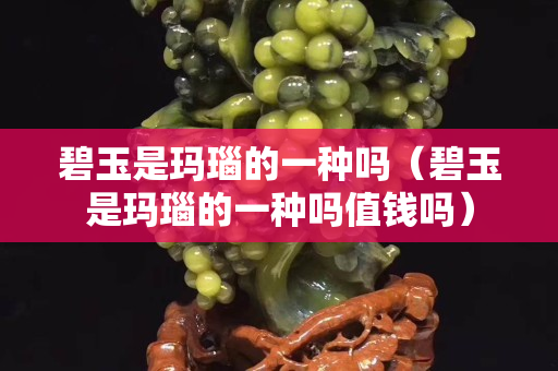 碧玉是瑪瑙的一種嗎（碧玉是瑪瑙的一種嗎值錢(qián)嗎）