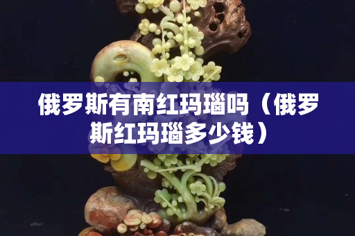 俄羅斯有南紅瑪瑙嗎（俄羅斯紅瑪瑙多少錢）