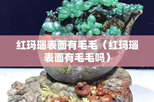 紅瑪瑙表面有毛毛（紅瑪瑙表面有毛毛嗎）