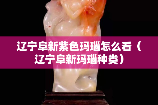 遼寧阜新紫色瑪瑙怎么看（遼寧阜新瑪瑙種類）
