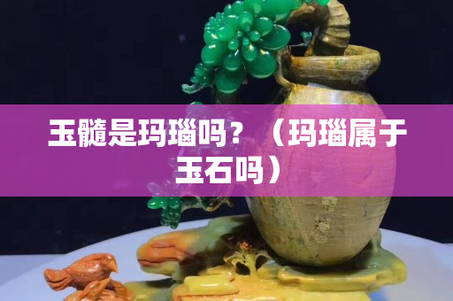 玉髓是瑪瑙嗎？（瑪瑙屬于玉石嗎）
