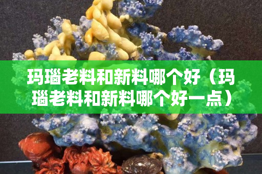瑪瑙老料和新料哪個好（瑪瑙老料和新料哪個好一點）