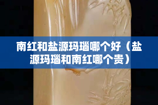 南紅和鹽源瑪瑙哪個好（鹽源瑪瑙和南紅哪個貴）