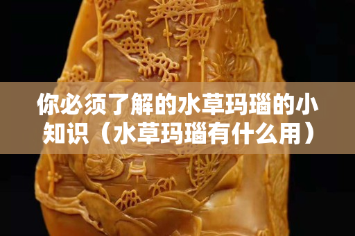 你必須了解的水草瑪瑙的小知識（水草瑪瑙有什么用）