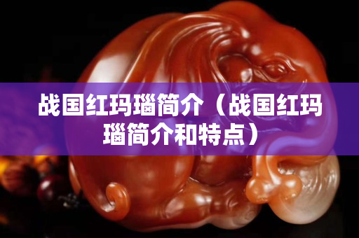 戰國紅瑪瑙簡介（戰國紅瑪瑙簡介和特點）