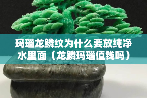 瑪瑙龍鱗紋為什么要放純凈水里面（龍鱗瑪瑙值錢嗎）
