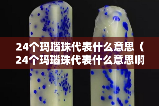 24個瑪瑙珠代表什么意思（24個瑪瑙珠代表什么意思啊）