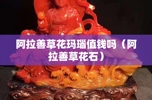 阿拉善草花瑪瑙值錢嗎（阿拉善草花石）