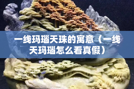 一線瑪瑙天珠的寓意（一線天瑪瑙怎么看真假）