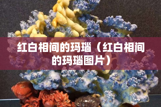 紅白相間的瑪瑙（紅白相間的瑪瑙圖片）