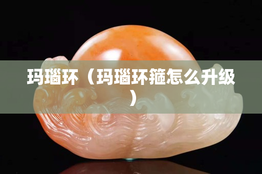 瑪瑙環(huán)（瑪瑙環(huán)箍怎么升級(jí)）