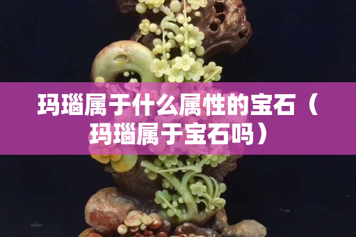 瑪瑙屬于什么屬性的寶石（瑪瑙屬于寶石嗎）