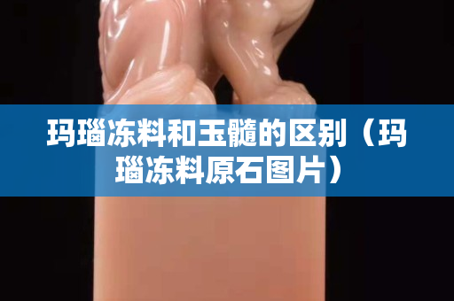 瑪瑙凍料和玉髓的區(qū)別（瑪瑙凍料原石圖片）