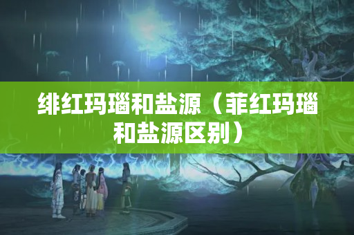 緋紅瑪瑙和鹽源（菲紅瑪瑙和鹽源區(qū)別）