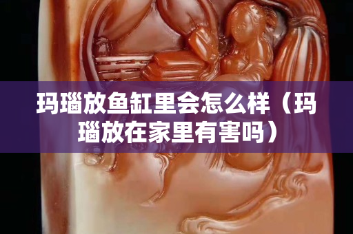 瑪瑙放魚缸里會怎么樣（瑪瑙放在家里有害嗎）