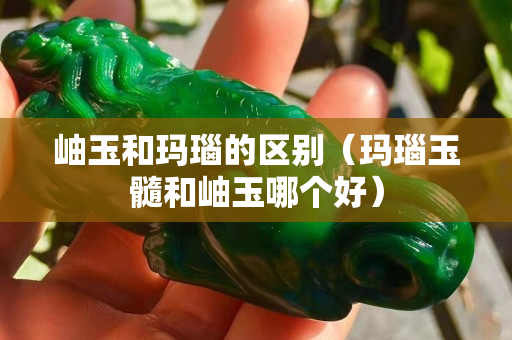 岫玉和瑪瑙的區別（瑪瑙玉髓和岫玉哪個好）