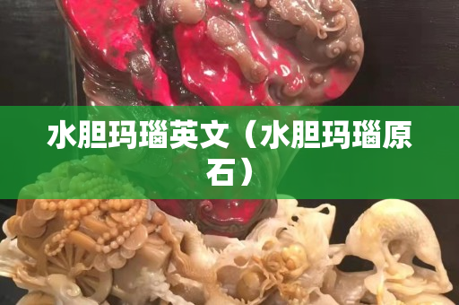 水膽瑪瑙英文（水膽瑪瑙原石）