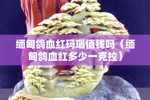 緬甸鴿血紅瑪瑙值錢嗎（緬甸鴿血紅多少一克拉）