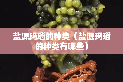 鹽源瑪瑙的種類（鹽源瑪瑙的種類有哪些）