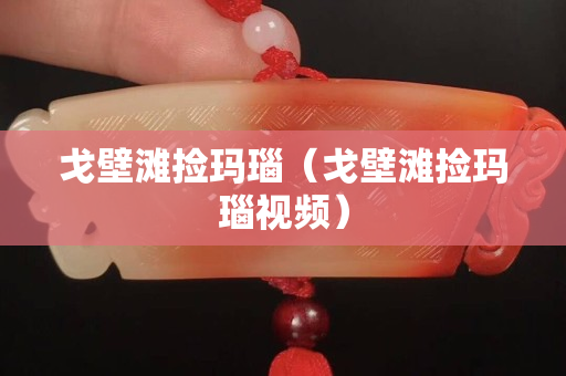 戈壁灘撿瑪瑙（戈壁灘撿瑪瑙視頻）