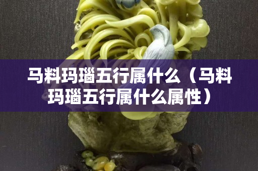 馬料瑪瑙五行屬什么（馬料瑪瑙五行屬什么屬性）