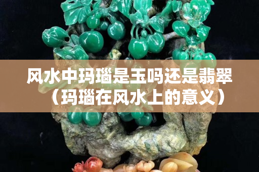 風(fēng)水中瑪瑙是玉嗎還是翡翠（瑪瑙在風(fēng)水上的意義）