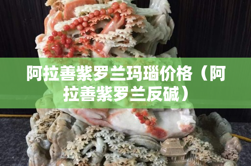 阿拉善紫羅蘭瑪瑙價格（阿拉善紫羅蘭反堿）
