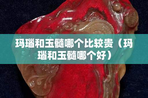 瑪瑙和玉髓哪個比較貴（瑪瑙和玉髓哪個好）