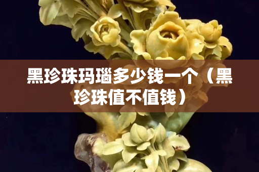 黑珍珠瑪瑙多少錢一個（黑珍珠值不值錢）