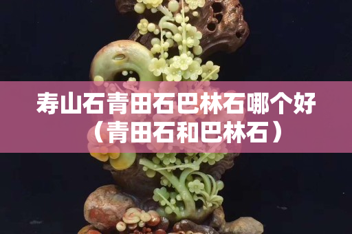壽山石青田石巴林石哪個好（青田石和巴林石）