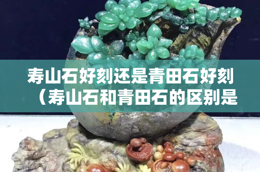 壽山石好刻還是青田石好刻（壽山石和青田石的區別是什么？）